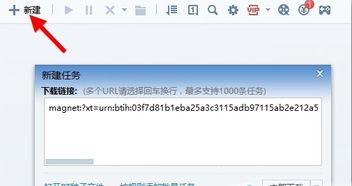 磁力国内av迅雷,揭秘热门影视资源下载新趋势